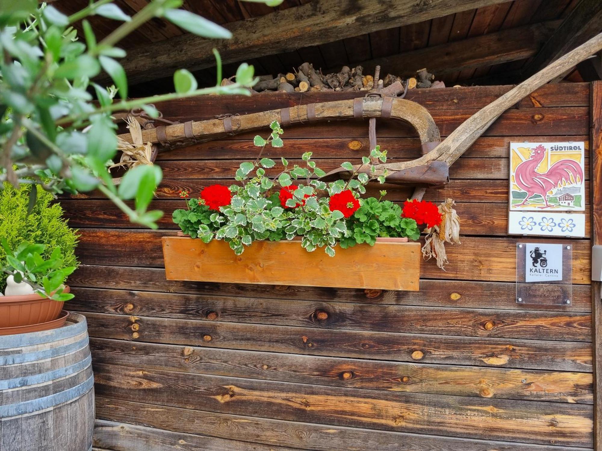 Urlaub Auf Dem Bauernhof Schmidhof - Grosse Terrasse, Pool Und Beste Lage 卡尔达罗 外观 照片
